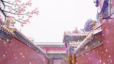 故宫的雪唯美意境4K背景视频AE模板视频的预览图